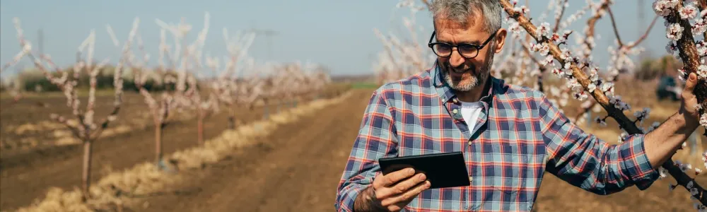 shutterstock_1348228418